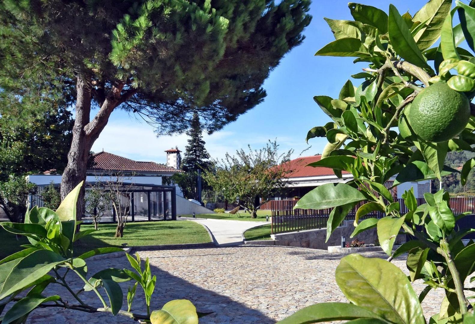 Alminhas Da Mindua - Unique Experiences By Luxistay Vitorino dos Piães Exterior foto