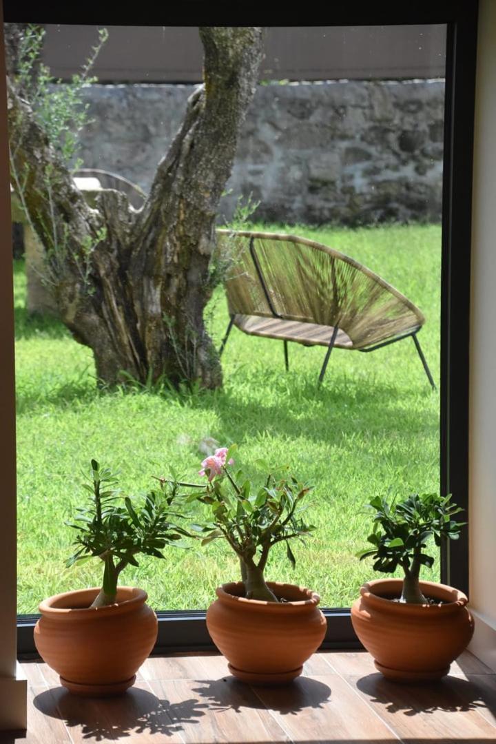 Alminhas Da Mindua - Unique Experiences By Luxistay Vitorino dos Piães Exterior foto